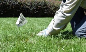 Gopher Team member with hands in the grass