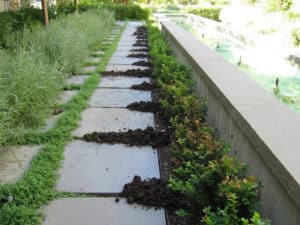 gopher destroyed garden walkway
