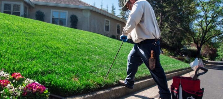 Is Professional Gopher Control Worth It Compared to DIY?